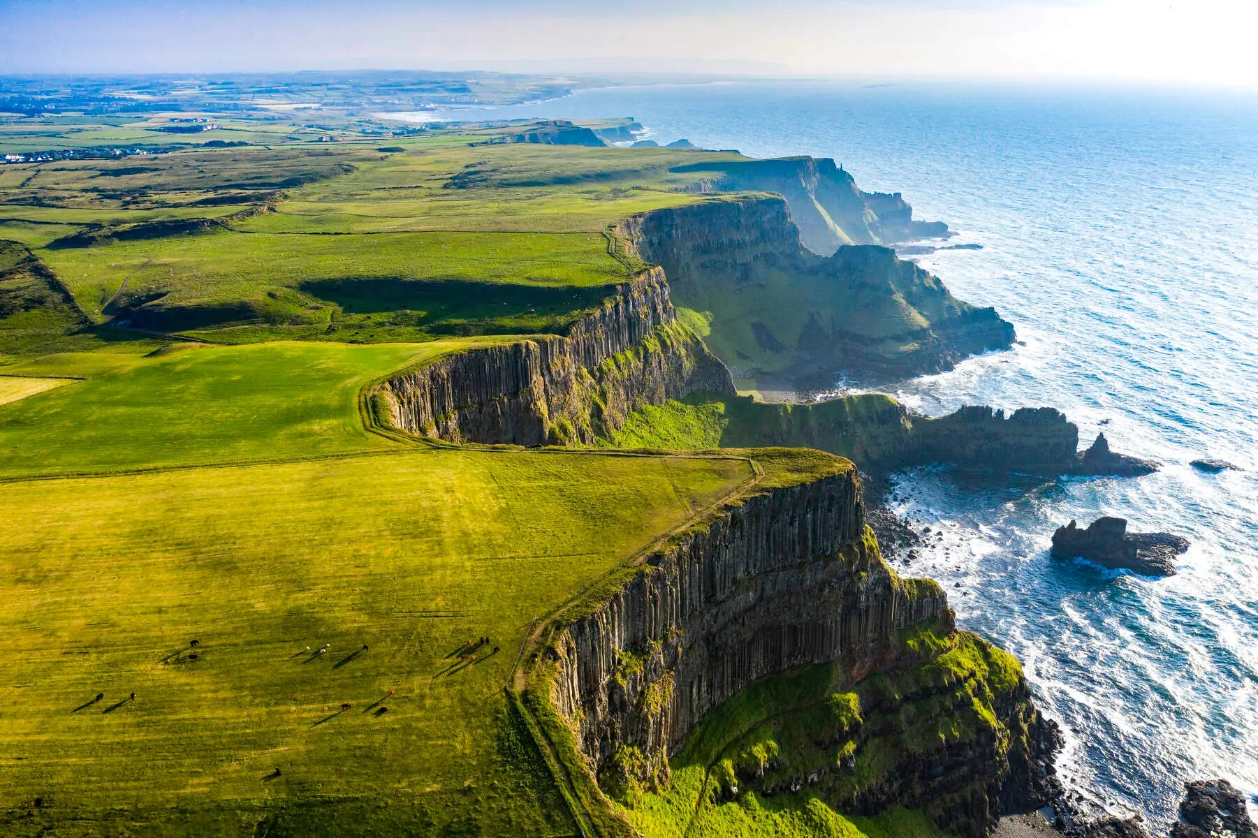 Business class flights to Ireland photo